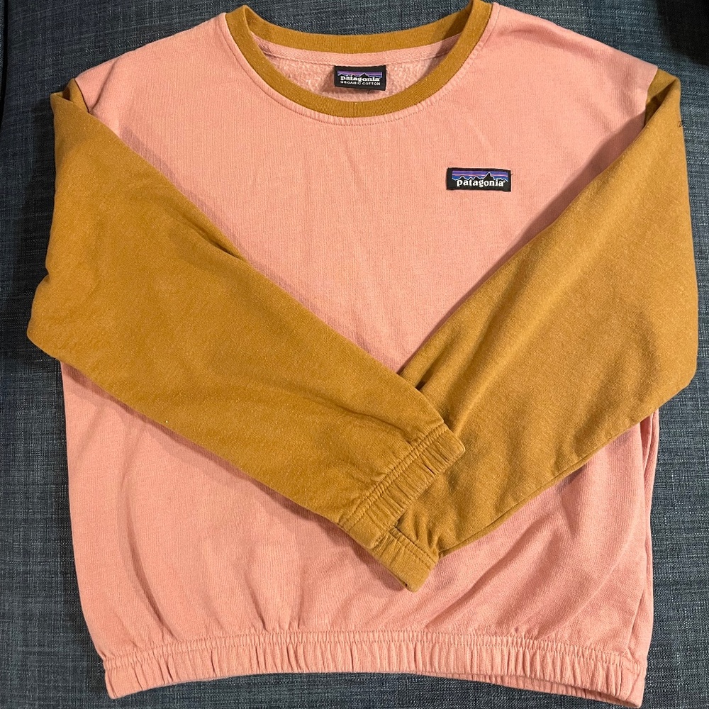 Kids Patagonia Color Block Cotton Sweatshirt